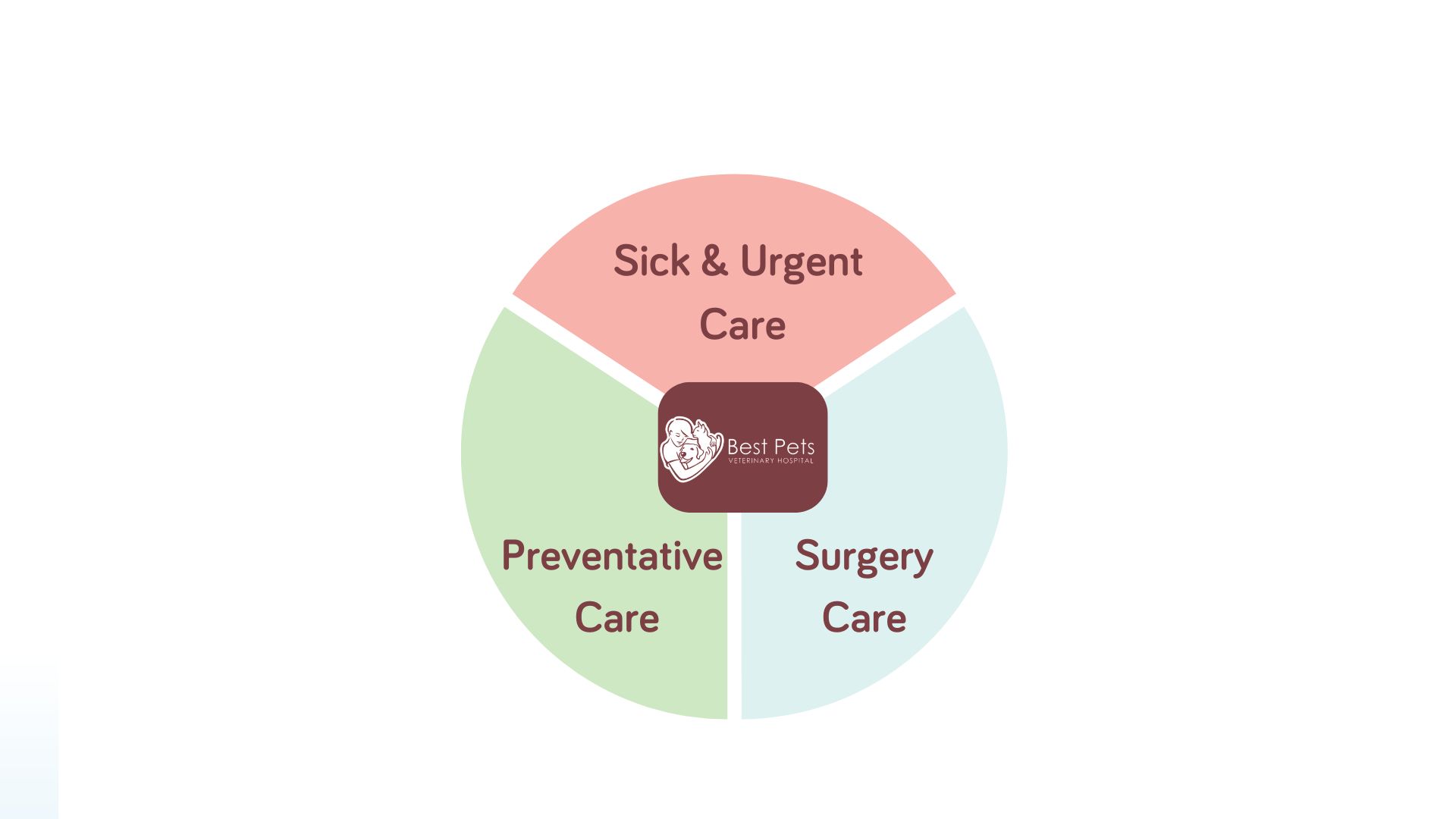 Sick and Urgent Veterinary Care Tewksbury MA