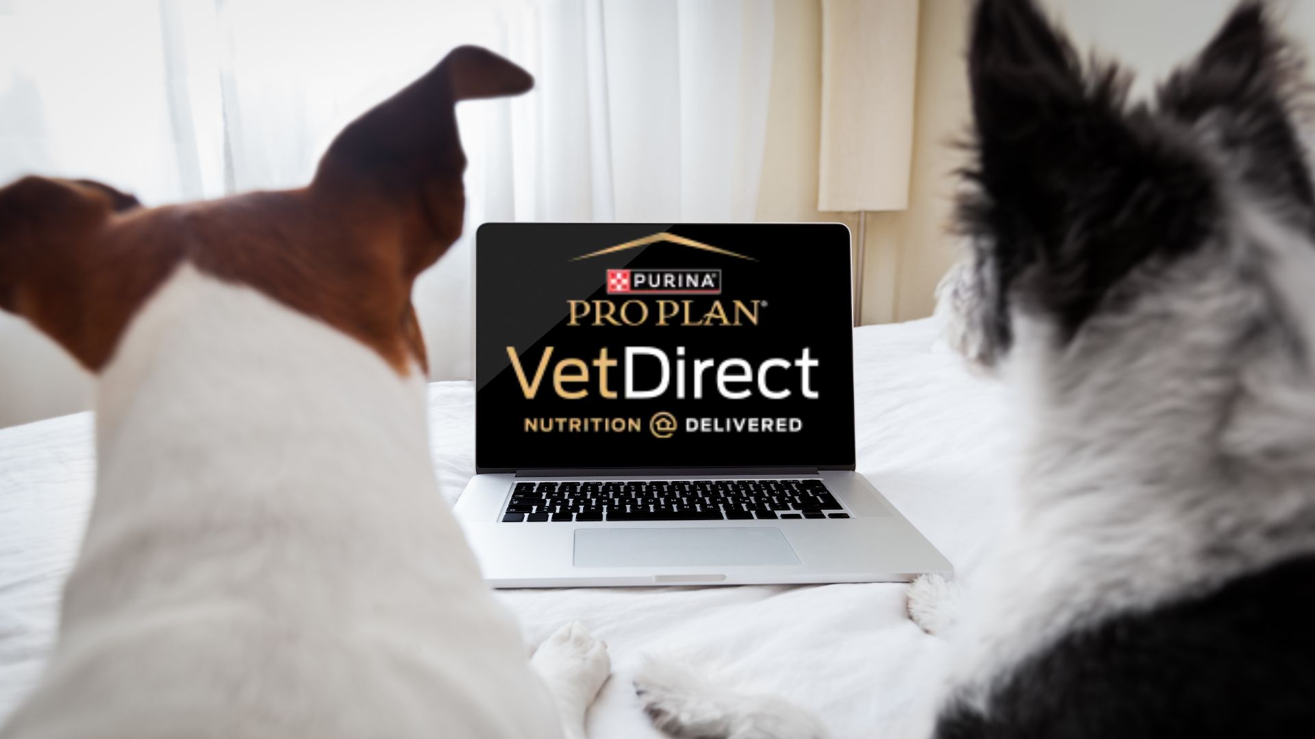 Shop Purina VetDirect Tewksbury MA