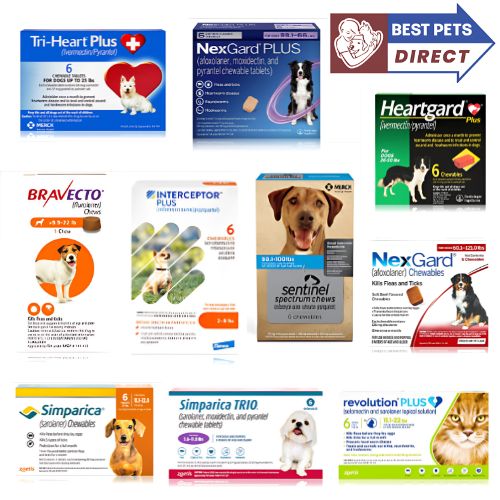 Best Pets Direct Flea Tick Heartworm Veterinary Products