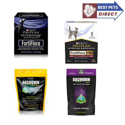 Best Pets Direct Supplements for Dogs and Cats