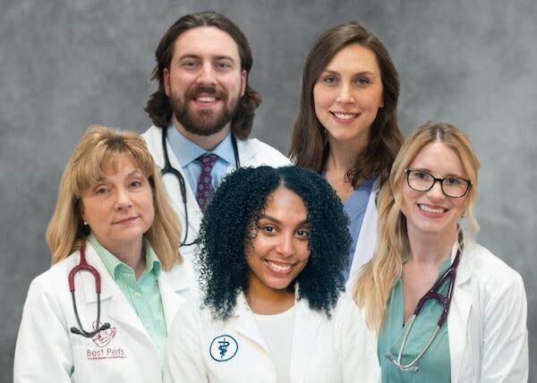 Veterinarians Best Pets VH