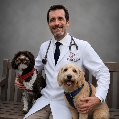 Dr. Michael McEwan with his two dogs