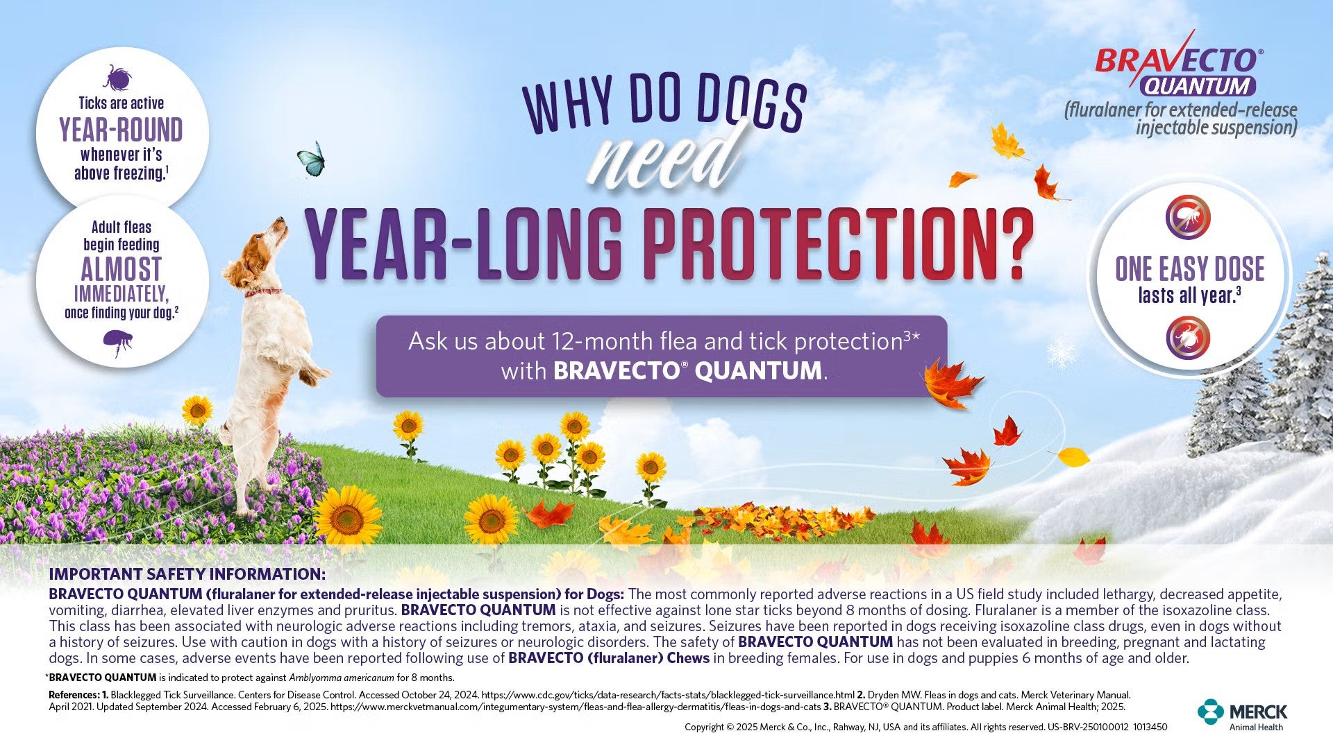 Year Round Flea and Tick Prevention Tewksbury
