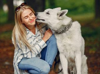National Lost Pet Prevention Month: Our Best Tips for Keeping Your Furry Friend Safe