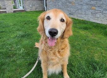 Understanding Osteoarthritis: Minimizing Pain, Maximizing Quality of Life