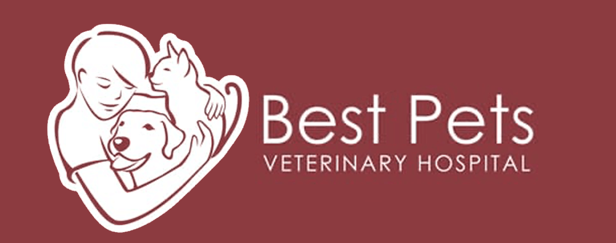 Best Pets Veterinary Hospital